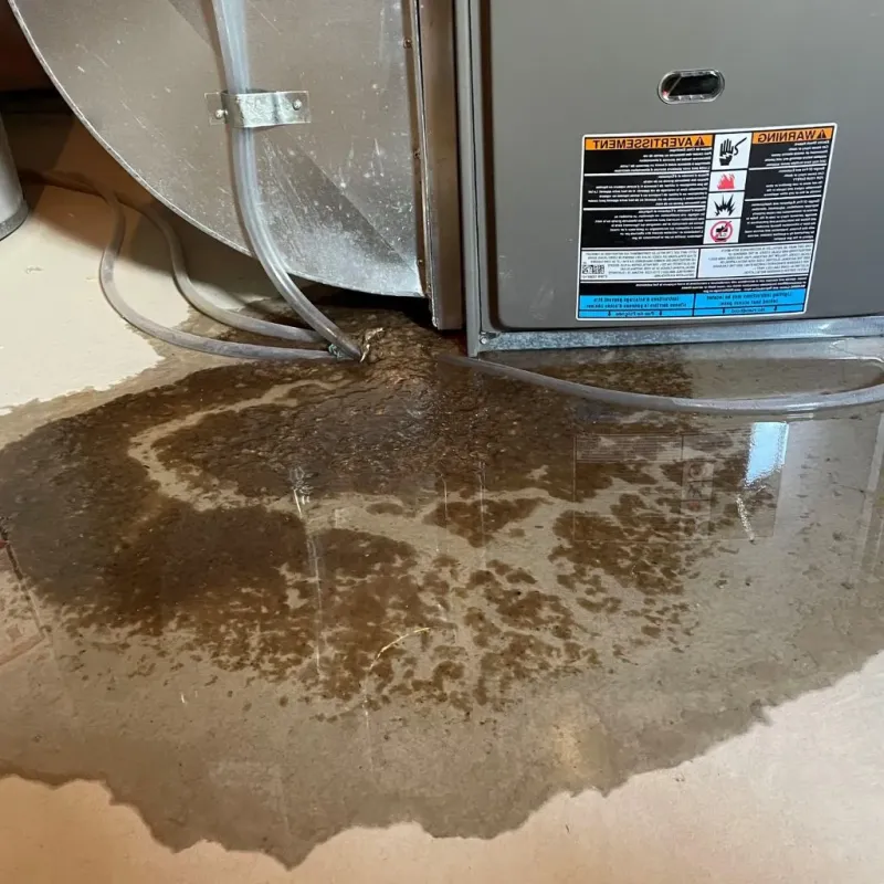 Pipe Burst and Leak Restoration in Dassel, MN